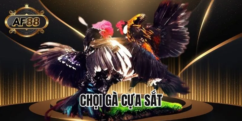 Hình thức chọi cựa sắt