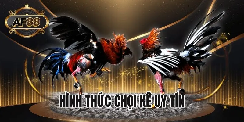 Top 5 hình thức chọi kê ăn khách 2025